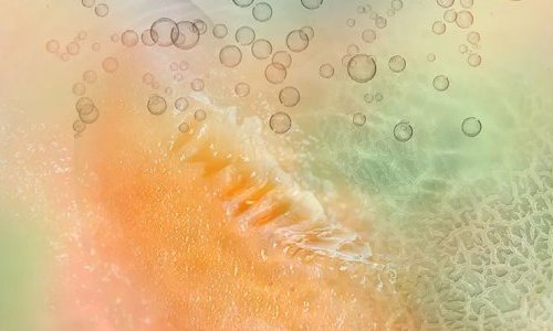 Givaudan launches fragrance precursor for hair care, Scentaurus Aquamelon