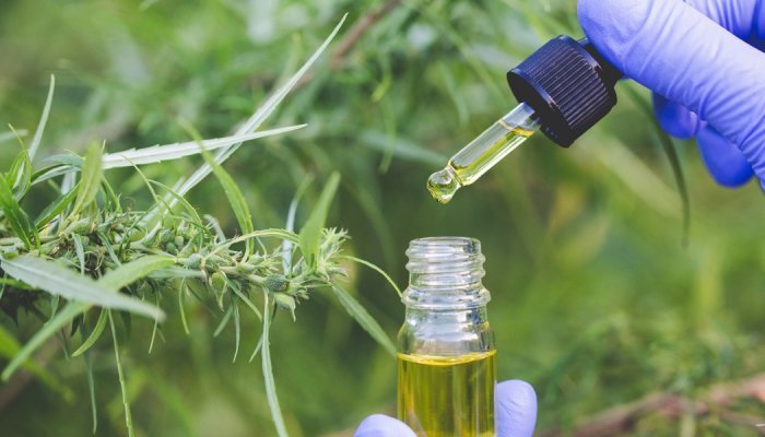 Cosm'Agri 2026 : L'industrie cosmétique au chevet de l'eau et des sols ?