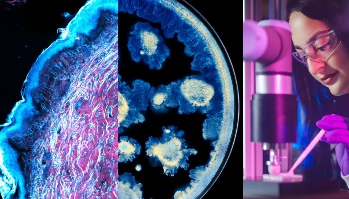 L'Oréal et l'Institut Pasteur nouent un partenariat de recherche sur la peau