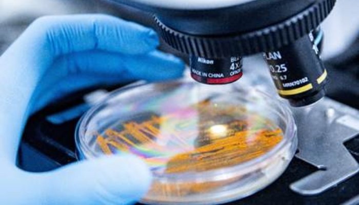 Apoena Biocare showcases exclusive microbial bank at in-cosmetics 2026