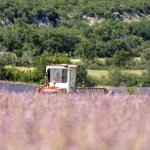 Du champ au flacon : Eden Ecosystem propose un nouveau modèle pour l'extraction végétale