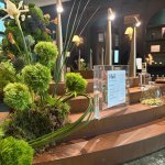 Po ONE Lab opens with a two-day program in February 2026, beginning with a private inauguration for industry partners, media, and VIP guests, followed by a public exhibition (Photo: dsm-firmenich)