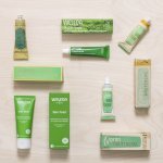 Jayn Weleda has high ambitions for its century-old Skin Food range (Photo: Weleda)