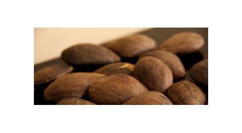 Beraca wants to facilitate access to ingredients sourced from the Brazilian biodiversity