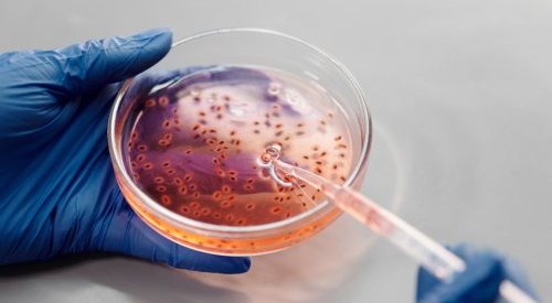 Croda mise sur la biotechnologie pour conjuguer innovation et durabilité