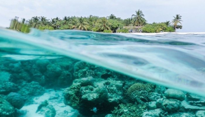 TechnicoFlor poursuit son engagement RSE et rejoint 1% For The Planet