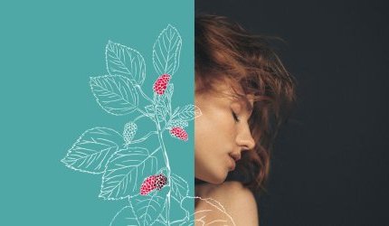 Gattefossé unveils Silkaress, a silk-inspired dermo-protective active ingredient