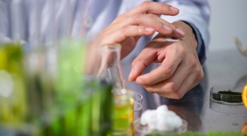 Comment Cosmetic Valley veut régénérer l'industrie cosmétique française