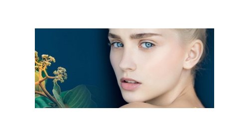Seppic: A natural active ingredient for acne-prone skins