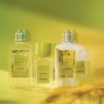 For its Forgotten Flowers line of cosmetics and perfumes, unveiled in fall 2023, L'Occitane en Provence has engaged in a long-term collaboration with the Institut de Chimie de Nice, the Villa Saint-Hilaire and the International Perfume Museum, in Grasse, France (Photo: L'Occitane en Provence)