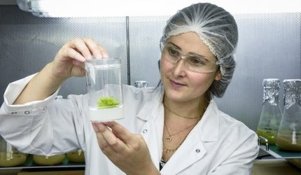 Seppic showcases new efficacy insights for its marine active ingredients