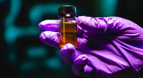 TotalEnergies and Honeywell join forces to develop advanced plastic recycling