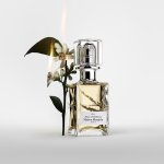 L'Oréal consolide son offre de haute parfumerie avec Maison Margiela (Photo : Maison Margiela)