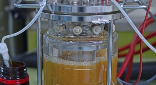Seppic ouvre aux États-Unis un labo dédié aux biotechnologies de fermentation