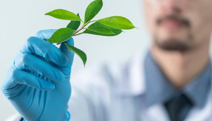 Seppic nomme Franco Manfré à la tête de l'innovation