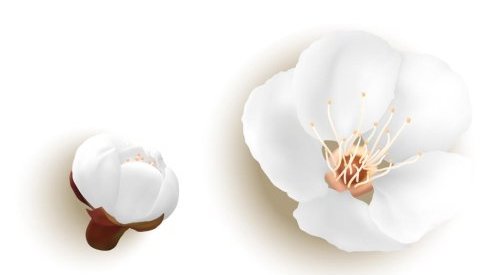 Clean Beauty in London is postponed to April 13-14, 2022