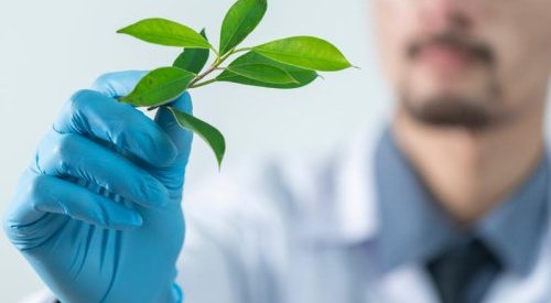 Seppic nomme Franco Manfré à la tête de l'innovation