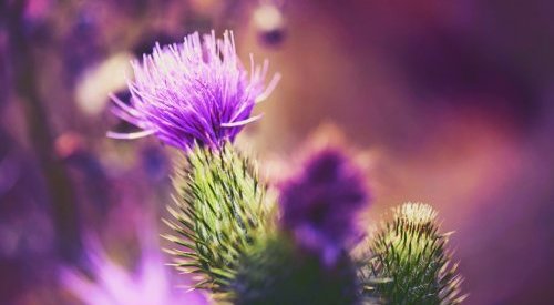 Givaudan Active Beauty : Une alternative haute-tolérance au rétinol