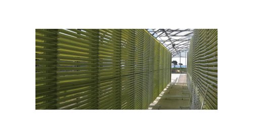 Greensea investit dans de nouvelles capacités de production