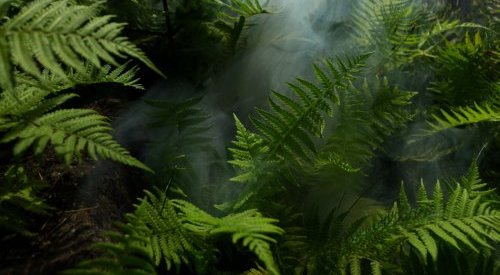 TechnicoFlor lance FlorIndex, un outil d'écoconception des formules de parfum