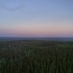 Metsä Board récompensée en Finlande pour sa stratégie de circularité
