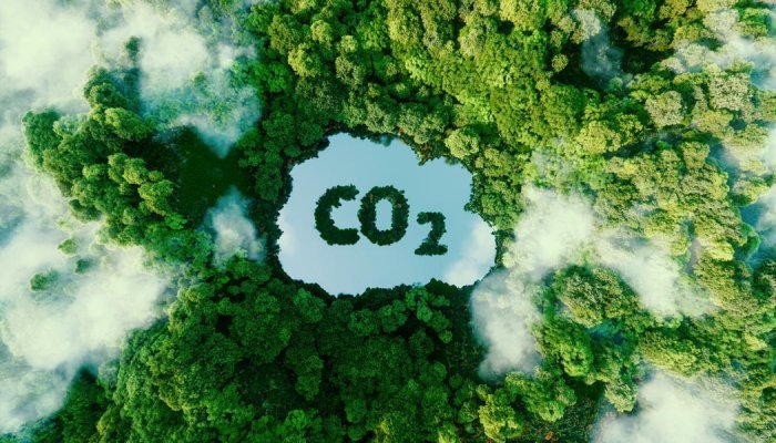 Beauty under carbon constraints… with enthusiasm!