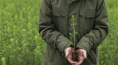 Metsä Board achieves the highest sustainability rating from EcoVadis 