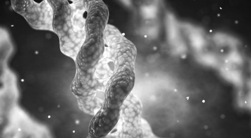 Evonik partners with Jland Biotech in vegan collagen for cosmetic applications