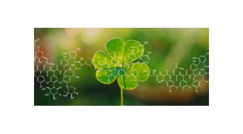 Anjac Health & Beauty impulse son innovation et mise sur l'intrapreneurialité