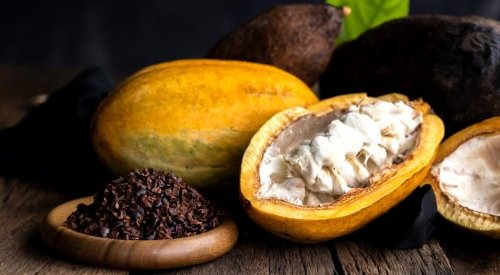 Nutraceuticals: Cocoa takes center stage in Berkem's wellness push