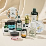 Démission de David Boynton, CEO de The Body Shop