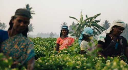 « L'ère de la parfumerie vertueuse est en route », Valérie de la Peschardière