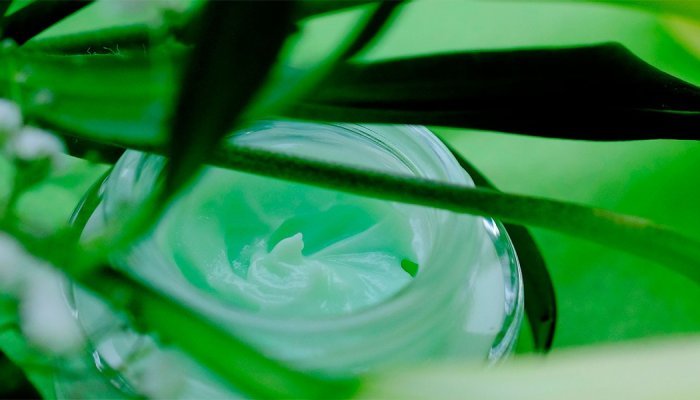 Berkem étend la distribution de ses ingrédients cosmétiques au Royaume-Uni