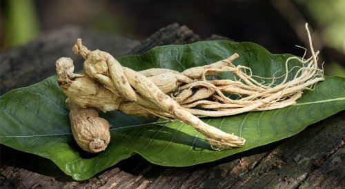 Seppic partners with rare and medicinal plants specialist Botalys