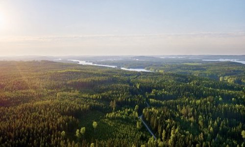 Metsä Board renouvelle son statut sur la liste Triple A du CDP