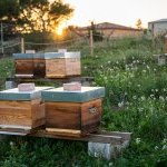 Le site de Pharma & Beauty Group (P&B) à Saint-Chamas, près d'Aix-en-Provence, en Provence