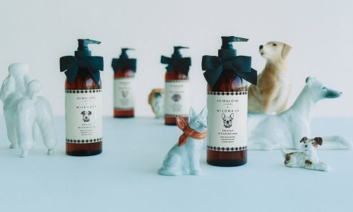 Jo Malone fait ses premiers pas dans le soin pour chiens avec WildWash