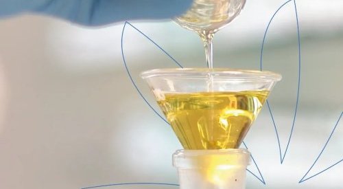 Eurofragance dévoile Olivante, un nouveau captif, opulent et upcyclé