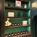 Po ONE Lab opens with a two-day program in February 2026, beginning with a private inauguration for industry partners, media, and VIP guests, followed by a public exhibition (Photo: dsm-firmenich)