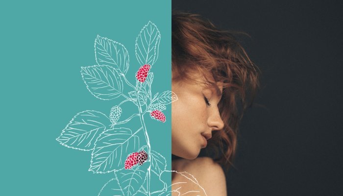 Gattefossé unveils Silkaress, a silk-inspired dermo-protective active ingredient