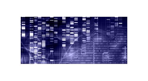 Givaudan Active Beauty : Nouvelles données cliniques sur le microbiome cutané