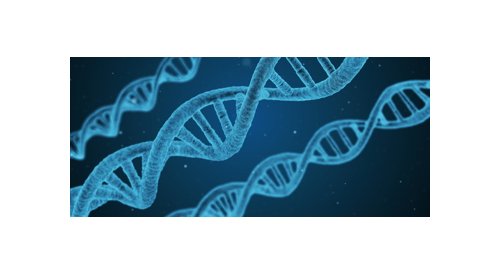 Génomique personnalisée et épigénétique au cœur des 28e JED