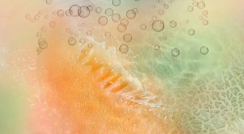 Scentaurus Aquamelon, le précurseur de parfum pour soins capillaires de Givaudan