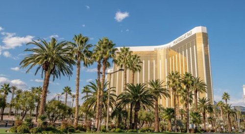 Cosmoprof North America is ready to kick-off on August 29th-31st in Las Vegas