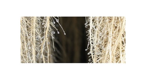 Nouvel accord de distribution entre Plant Advanced Technologies et Safic-Alcan