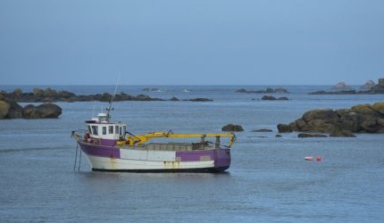 Collapse of seaweed harvests in Brittany sparks concerns over the resource