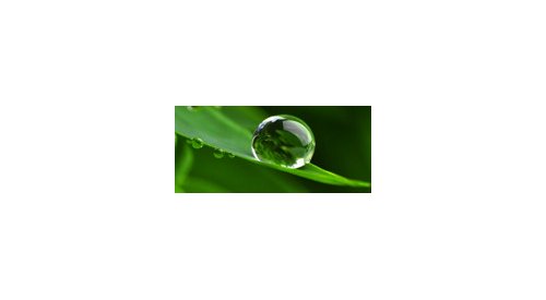 L'eau au programme de la 10e journée thématique du CED