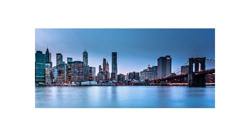 NYSCC elects new Executive Board for 2020