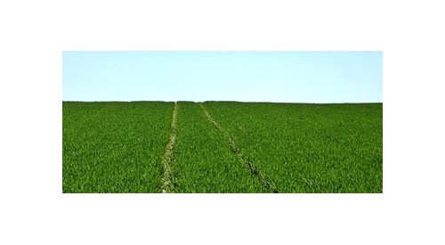 La chimie du végétal boostée par la demande des industriels de la cosmétique