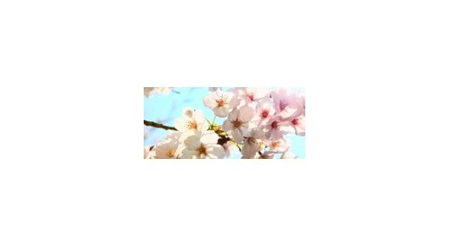 Seasonality is becoming a key trend of the beauty market